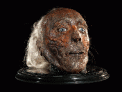 FORWEB_J_Bentham_Head_04