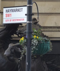 Haymarket crop