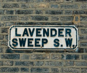 Lavender Sweep